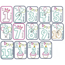 Stickserie ITH - Meilensteinkarten Monate Satin